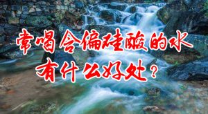 偏硅酸水